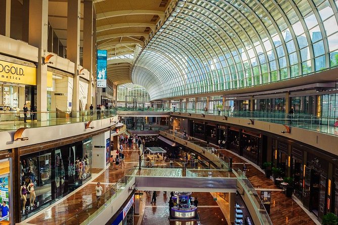 Private Customized Singapore Car Tour (Half Day or Full Day) - Tour Guidelines