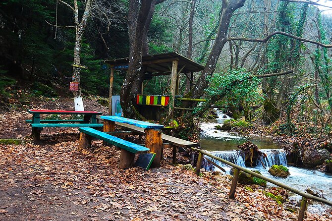 Private Day Tour From Athens to Pavliani Forest Park Trek - Pricing and Booking