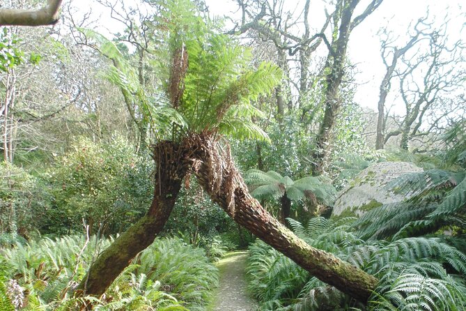 Private Day Tour From the Centre to the Highest Point in Sintra. - Cancellation Policy Details