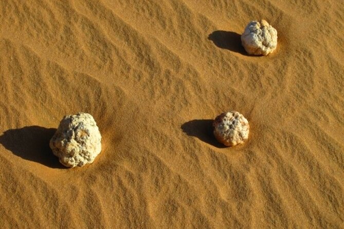 Private Day Trip From Salalah to Rub Al Khali - Price and Cancellation