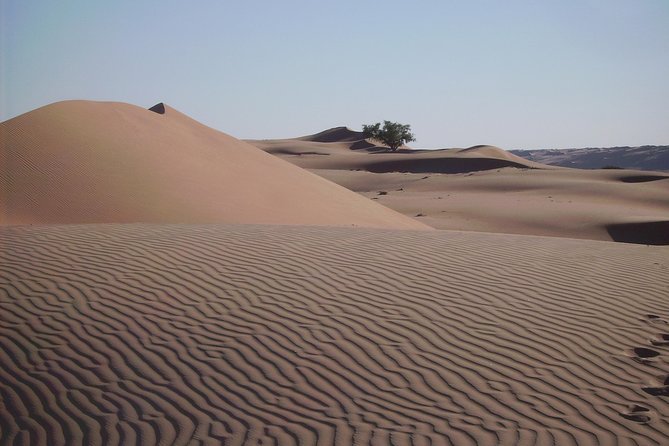 Private Day Trip to Grand Mosque & Wahiba Sands - Wahiba Sands Adventure