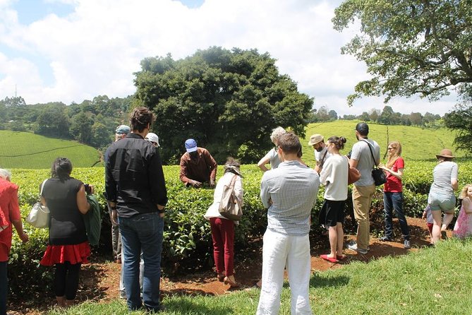 Private Day Trip to Kiambethu Tea Farm in Limuru From Nairobi - Tour Itinerary