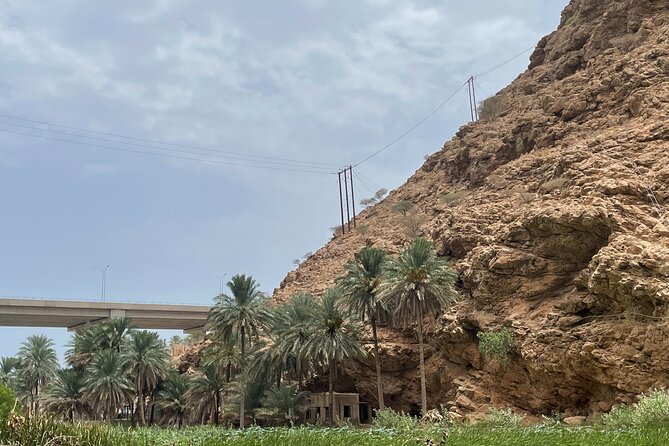 Private Day Trip to Wadi Shab, Fins Beach & Bimmah Sinkhole - Reviews and Testimonials