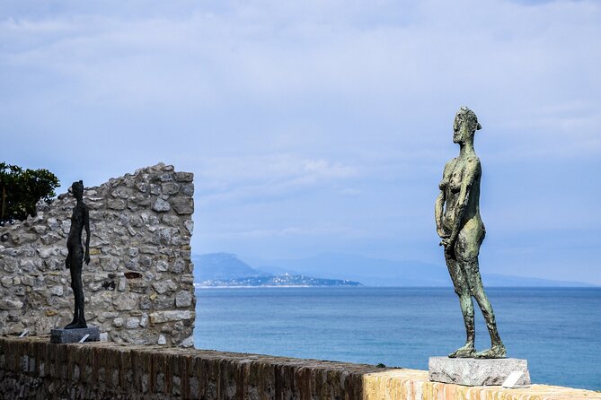 Private Direct Transfer From Monaco to Antibes - Accessibility