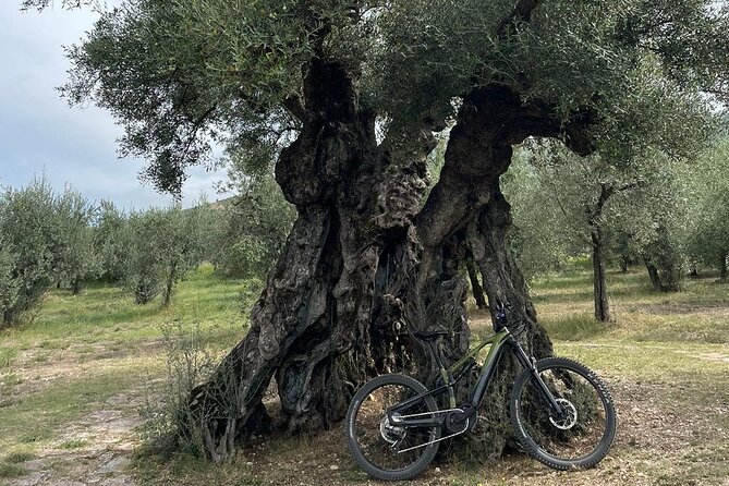 Private E Bike Tour in the Olivata Area Assisi Spello Foligno - Pricing and Guarantee Details