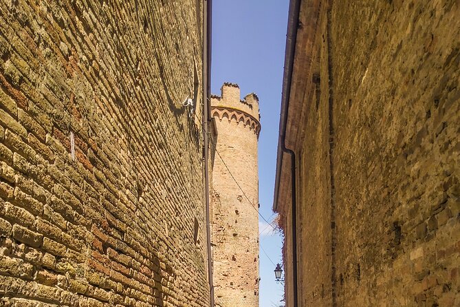 Private E-Bike Tour Monferrato Di Canelli - Asphalt Only - Reviews