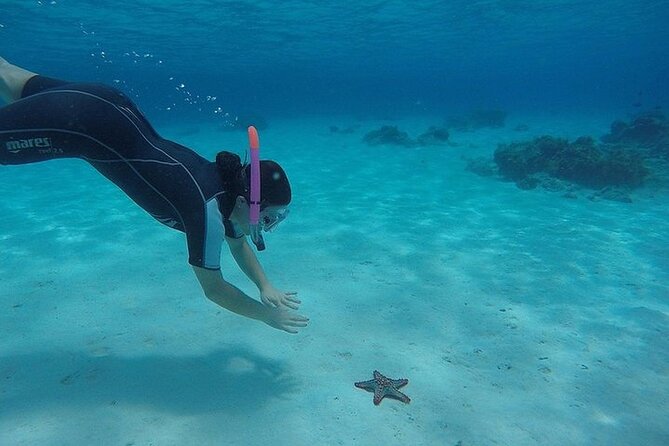 Private Full-Day Dhow Cruise to Mnemba Island Reef for Snorkeling - Additional Info