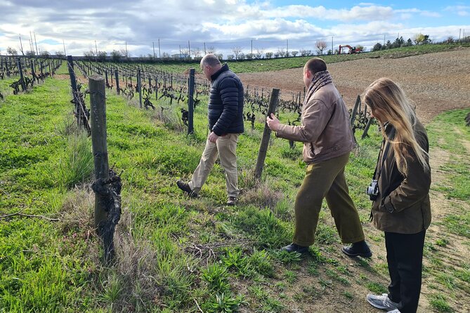 Private Full Day Douro Tour With Lunch - Price and Booking