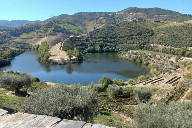 Private Full Day Douro Tour - Availability and Booking Information