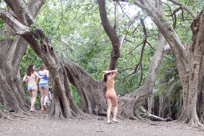 Private Full-Day Materuni Waterfall, Coffee and Hot-spring Tour in Moshi - Reviews and Pricing