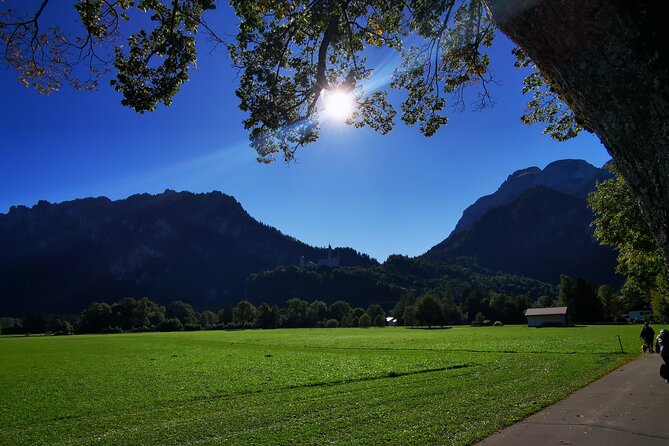 Private Full Day Neuschweinstein Castle Tour From Munich - Operator Information