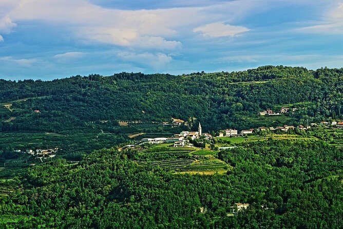 Private Full Day Tour From Rijeka or Opatija to Best of Istria - Excludes