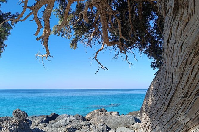 Private Full Day Tour of Elafonisi and Falasarna Beach - Guide Information
