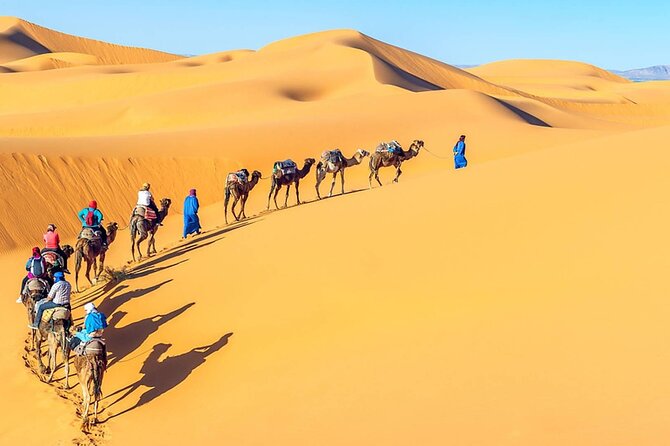 Private Full-Day Tour to Giza, Memphis City and Saqqara Pyramid - Directions and Map
