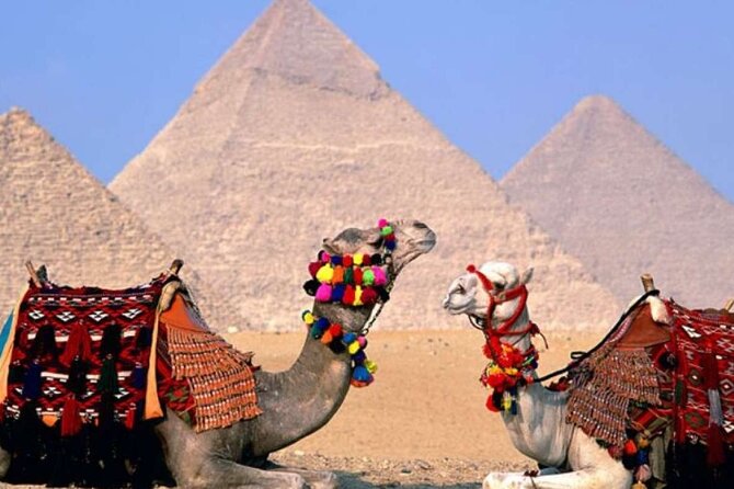 Private Full-Day Trip to Cairo and Giza With Lunch From Hurghada - Trip Inclusions