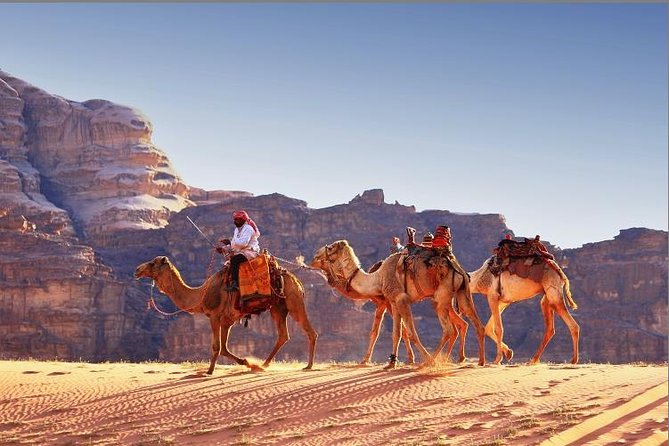 Private Full Day Trip to Wadi Rum Valley of Moon Martian Desert From Dead Sea - Frequently Asked Questions