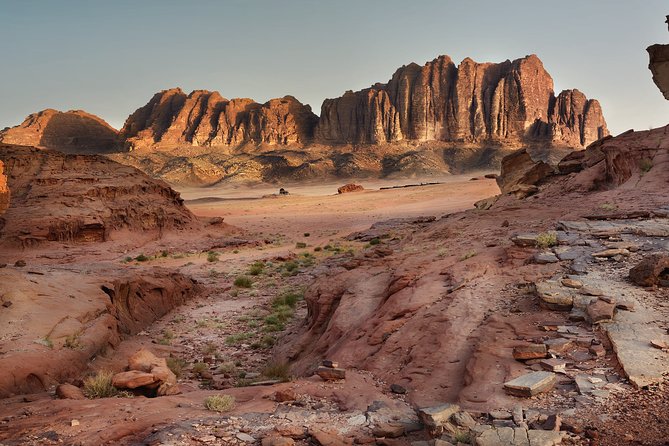 Private Full-Day Wadi Rum and Petra Tour From Aqaba - Reviews