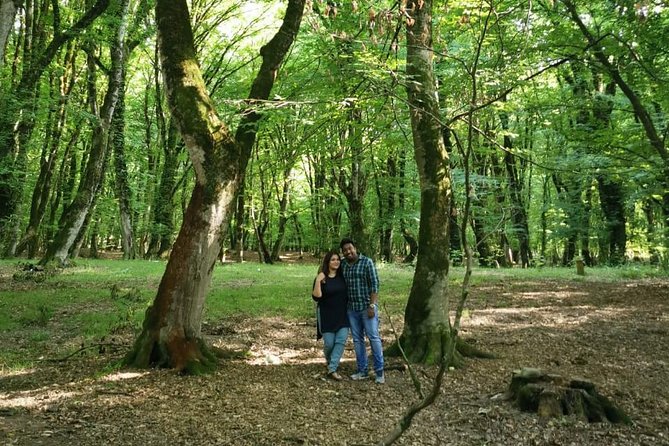 Private Gabala Tour (Full-Day Guided Tour) - Booking Information