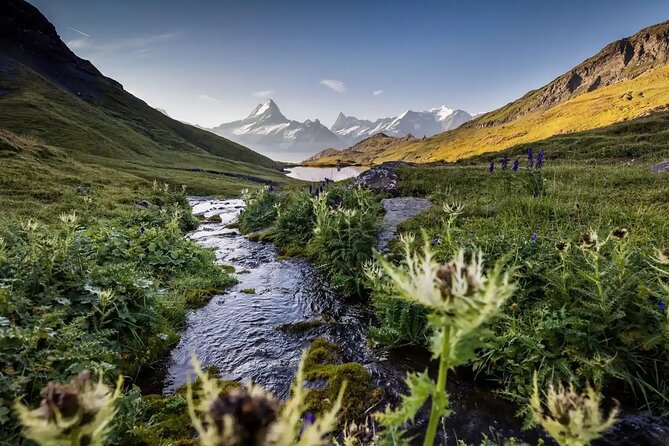 Private Guided Adventure to Grindelwald First - Book Your Private Guided Tour