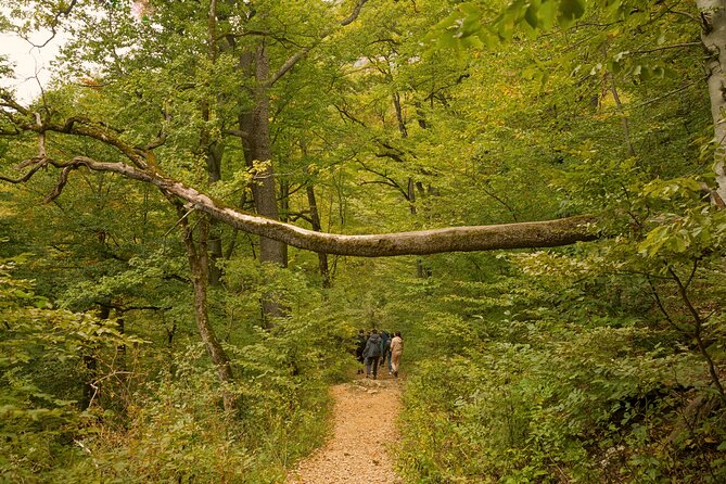 Private Guided Hiking Tour From Yenokavan to Lastiver Anapat - Pricing and Booking Options