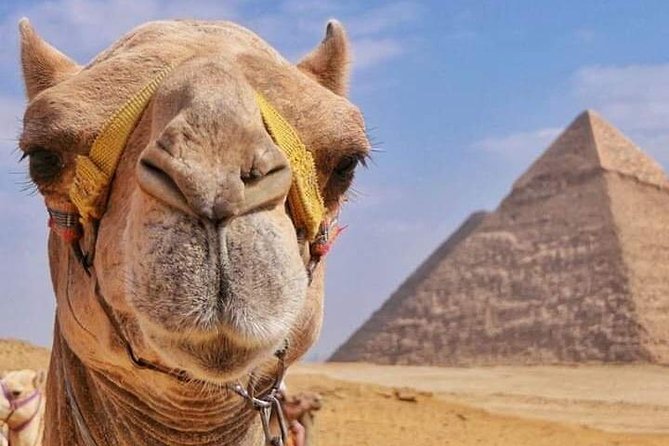 Private Half Day Camel or Horse Ride at the Great Pyramids With BBQ Dinner - Directions