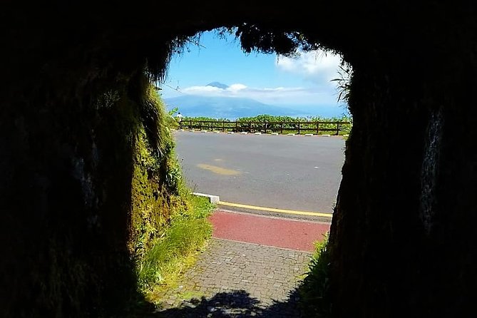 Private Half-Day Tour - Faial Island (Up to 8 People) - Frequently Asked Questions
