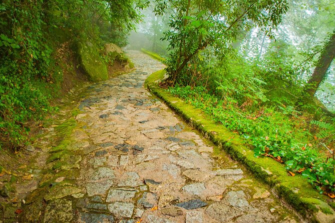 Private Half-Day Tour in Romantic Sintra | Infants/Children Free - The Sum Up