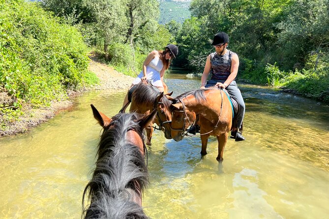 Private Horseback Riding Across River Ljuta With Transport - Additional Information