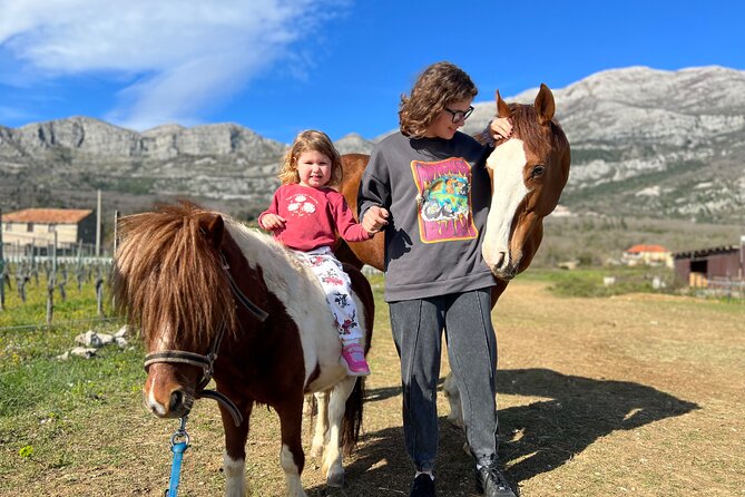 Private Horseback Riding and Family Time in Konavle Region - Additional Info