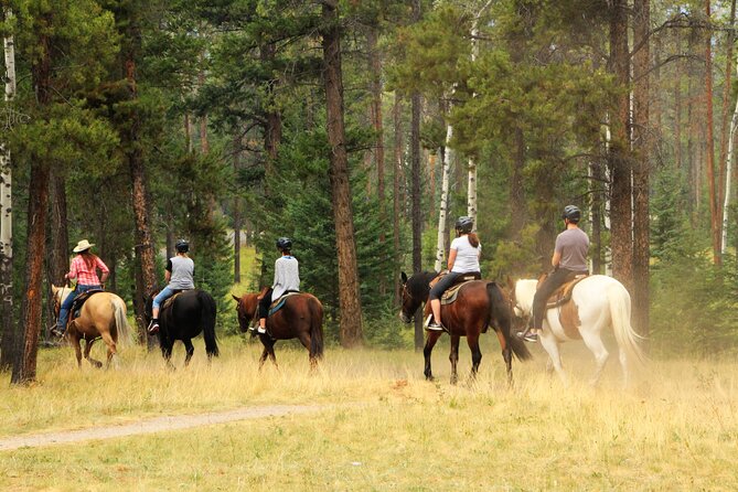Private Horseback Riding Experience on Vesuvius and Product Tasting - Frequently Asked Questions