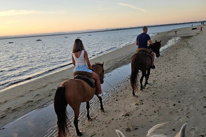 Private Horseback Riding - Directions for Horseback Riding