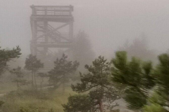 Private Kemeri National Park Bog Walking Trail - Frequently Asked Questions