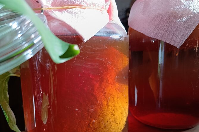 Private Kombucha Making Workshop in Cyprus - Pricing and Payment Details