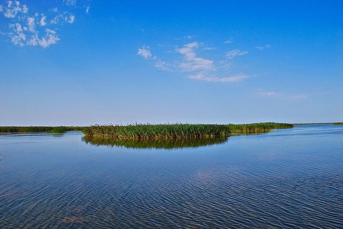 Private Lankaran Tour - Pricing Details