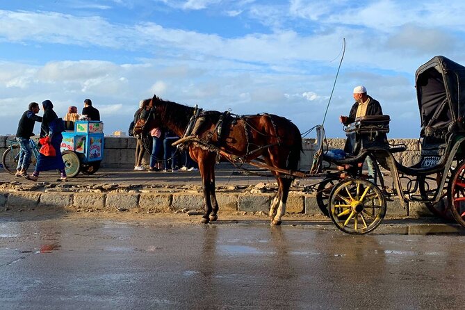 Private Night Tour In Alexandria By Horse Carriage Ride And Free Walking Tour - Additional Information