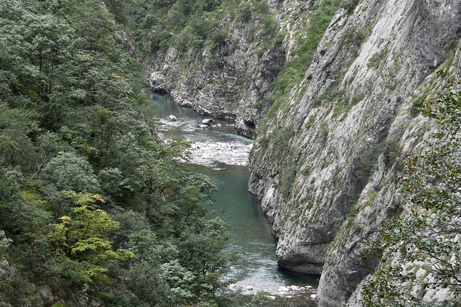 Private North Montenegro Tour -Moraca River Canyon and Walk Trough Virgin Forest - Customer Reviews