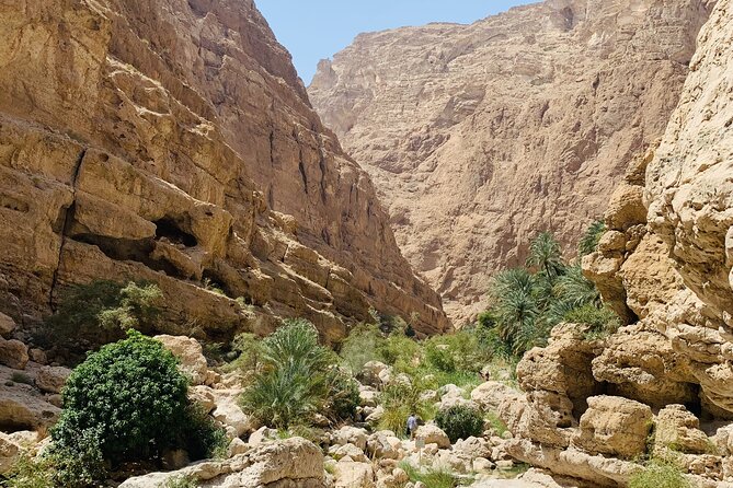 Private Oman Desert Overnight in Wahiba Sand and Wadi Exploration - Cancellation Policy