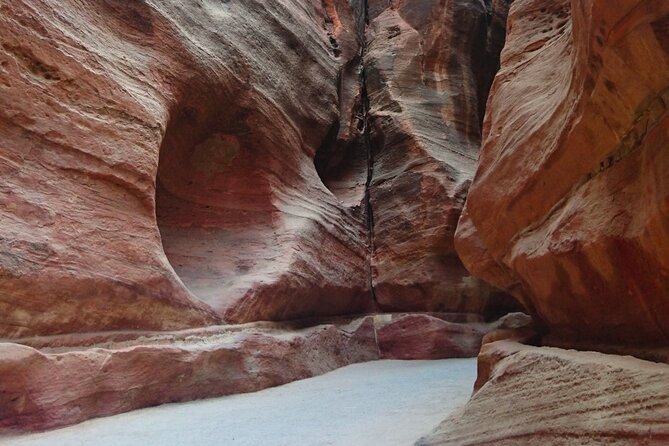 Private Petra Sightseeing Day Tour From Aqaba Port - Pricing Information