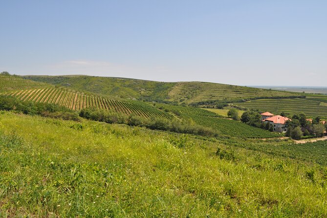 Private Romanian Wine Tasting in Urlași - Frequently Asked Questions
