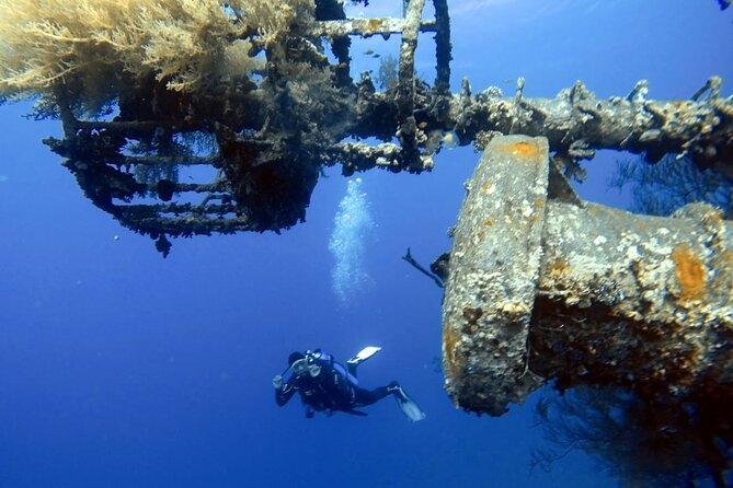 Private Scuba Diving Adventure in the Red Sea of Aqaba - Meeting Point Information