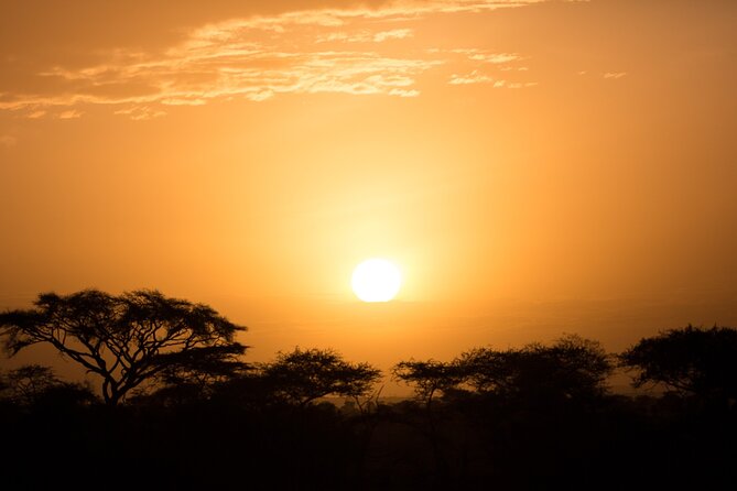 Private Serengeti Safari, Ngoro Crater & Tarangire National Park - Expert Guides