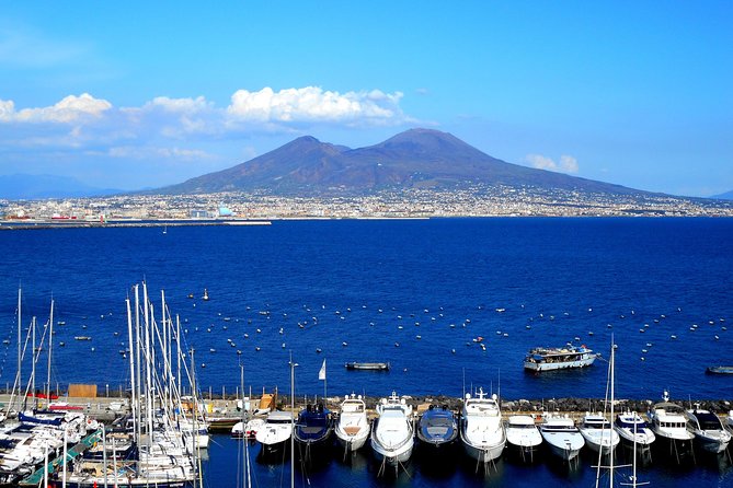 Private Shore Excursion From Naples to Pompeii and Mt Vesuvius for Families - Cancellation Policy