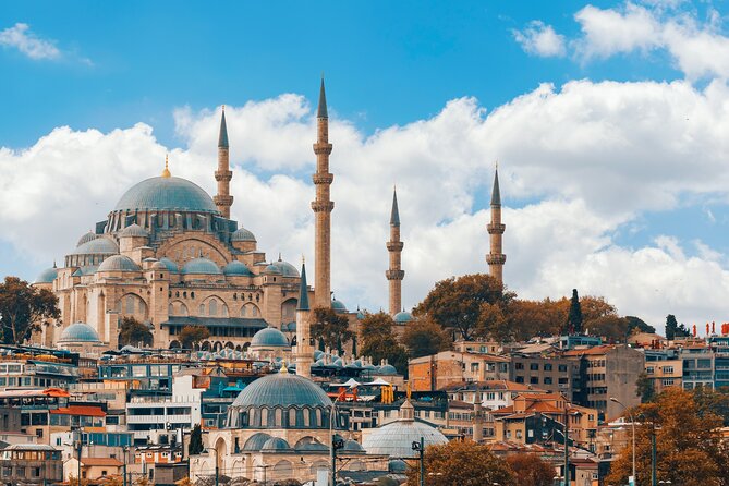 Private Shore Excursion: Jewels of Istanbul Tour With a Boat Ride - What To Expect