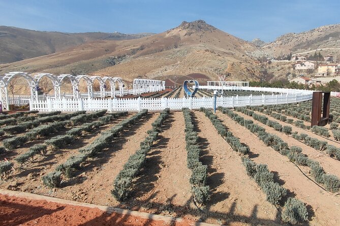 Private Sightseeing Tour Visit in Green Meram of Konya - Directions and Transportation