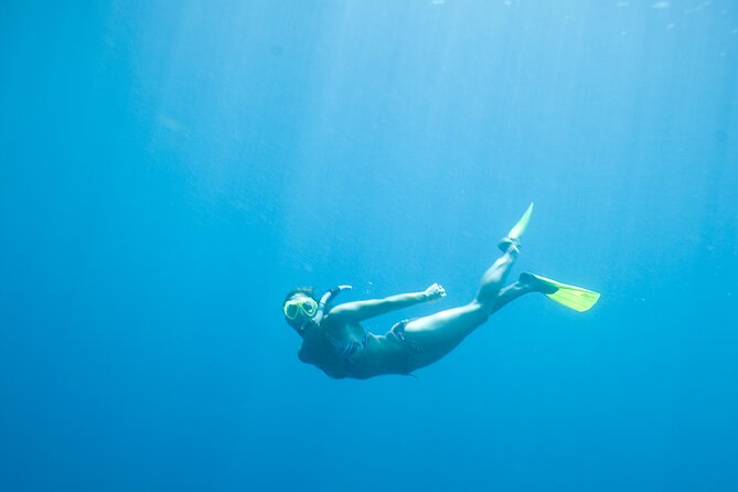 Private Snorkeling Experience in Aqaba Red Sea - Frequently Asked Questions