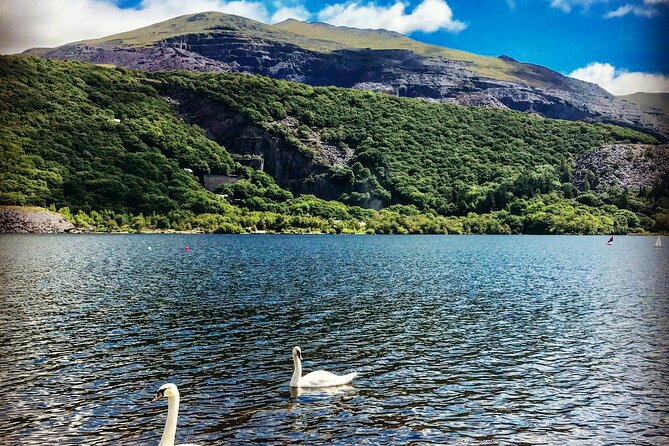 Private Snowdonia Essentials Hollyhead Shore Excursion 16 Seats - Pricing & Availability