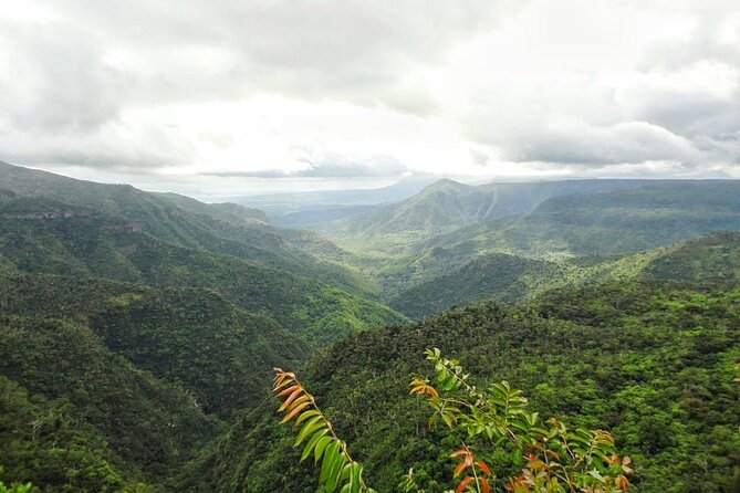 Private Southwest Tour With Local Lunch & Rum Tasting - Customizable Itinerary