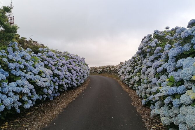 Private Terceira Island Full Day Jeep Tour - Additional Information