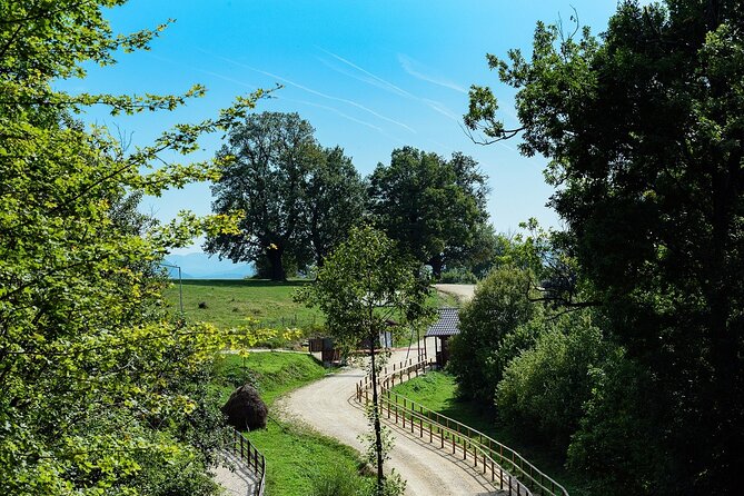 Private Tour Bear Sanctuary & City of Brasov One Day Trip - Tickets Included - Directions