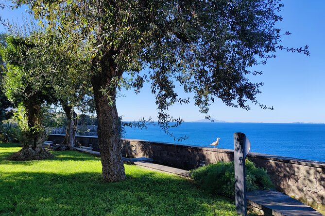 Private Tour by Car Seeing Capri and 1 Hour Visit Positano - Frequently Asked Questions